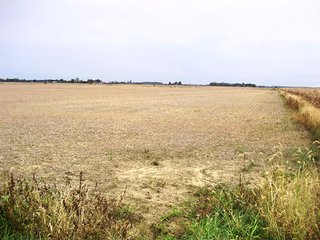 Property photo 47 - MAJOR, HIGH QUALITY LAND AUCTION - 346+/- ACRES OFFERED IN 8 TRACTS IN JACKSON COUNTY, INDIANA
